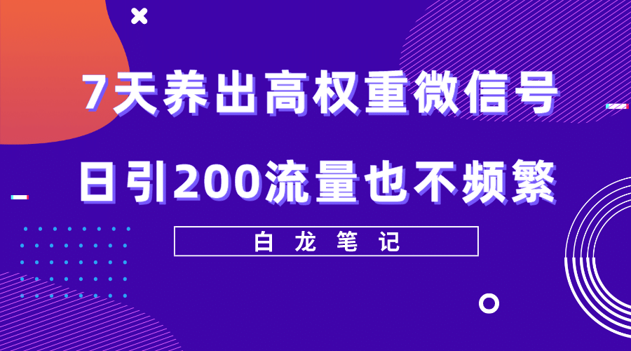 7天养出高权重微信号，日引200流量也不频繁，方法价值3680元-智宝网创