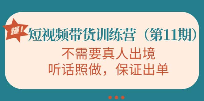短视频带货训练营（第11期），不需要真人出境，听话照做，保证出单-智宝网创
