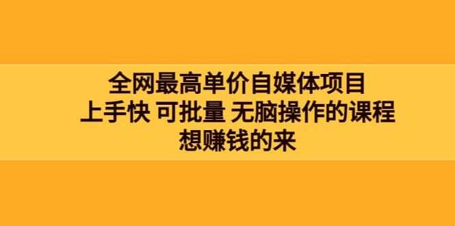 全网最单高价自媒体项目：上手快 可批量 无脑操作的课程，想赚钱的来-智宝网创