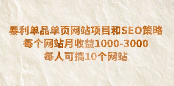 暴利单品单页网站项目和SEO策略 每个网站月收益1000-3000 每人可搞10个-智宝网创
