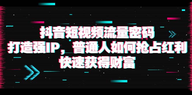 抖音短视频流量密码：打造强IP，普通人如何抢占红利，快速获得财富-智宝网创