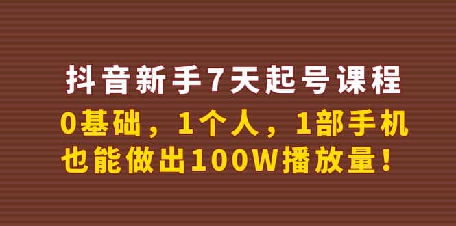 抖音新手7天起号课程：0基础，1个人，1部手机，也能做出100W播放量-智宝网创