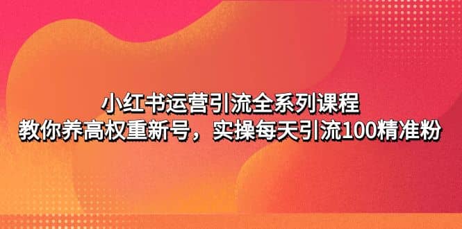小红书运营引流全系列课程：教你养高权重新号-智宝网创