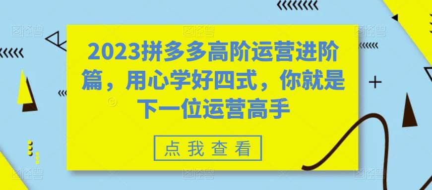 2023拼多多高阶运营进阶篇，用心学好四式，你就是下一位运营高手-智宝网创
