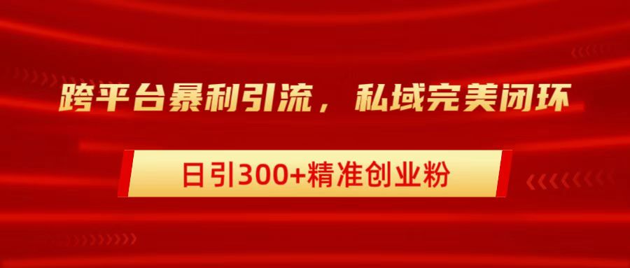 跨平台暴力引流，私域完美闭环，日引300+精准创业粉-智宝网创