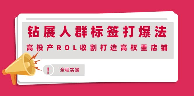 钻展人群标签打爆法，高投产ROL收割打造高权重店铺(全程实操)-智宝网创