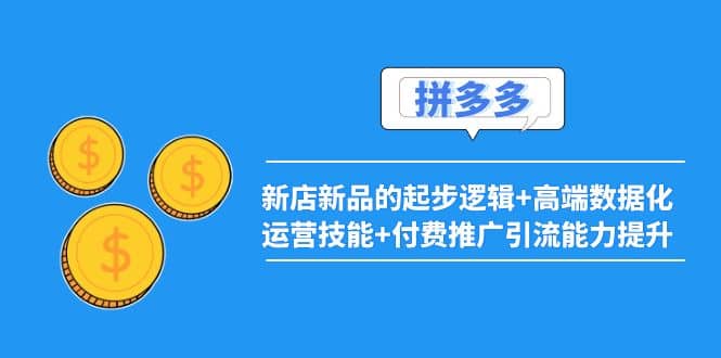 2022拼多多：新店新品的起步逻辑+高端数据化运营技能+付费推广引流能力提升-智宝网创