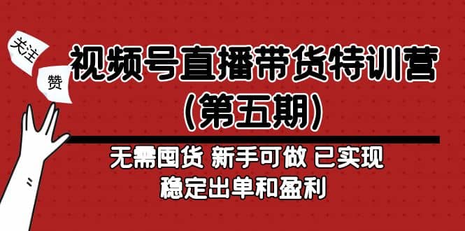 视频号直播带货特训营（第五期）无需囤货 新手可做 已实现稳定出单和盈利-智宝网创