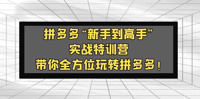 拼多多“新手到高手”实战特训营：带你全方位玩转拼多多-智宝网创