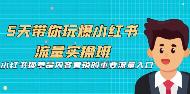 5天带你玩爆小红书流量实操班，小红书种草是内容营销的重要流量入口-智宝网创