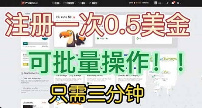 国外项目注册一次0.5美金 只需三分钟无脑操作 可批量放大 小白工作室福利-智宝网创