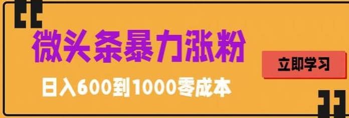 微头条暴力涨粉技巧搬运文案就能涨几万粉丝，简单0成本，日赚600-智宝网创