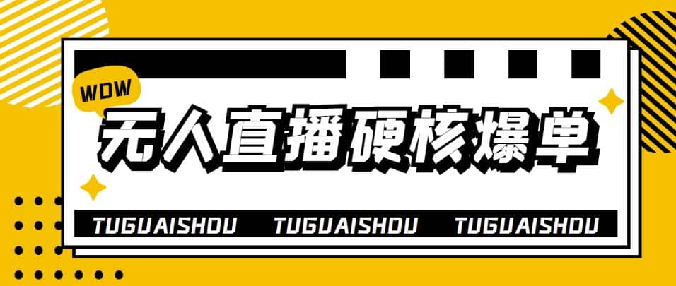大飞无人直播硬核爆单技术，轻松玩转无人直播-智宝网创