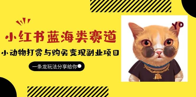 小红书蓝海类赛道：小动物打赏与购买变现副业项目，一条龙玩法分享给你-智宝网创