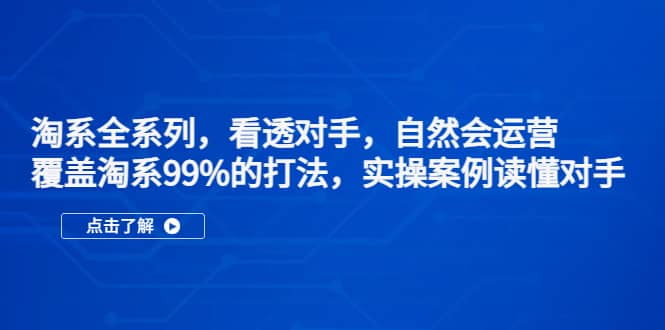 淘系全系列，看透对手，自然会运营，覆盖淘系99%·打法，实操案例读懂对手-智宝网创