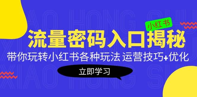 小红书流量密码入口揭秘：带你玩转小红书各种玩法 运营技巧+优化-智宝网创