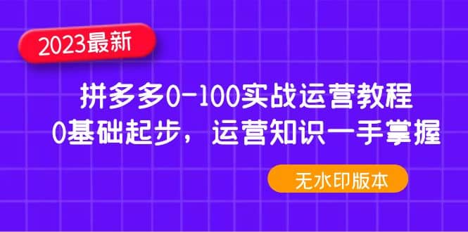 2023拼多多0-100实战运营教程，0基础起步，运营知识一手掌握（无水印）-智宝网创