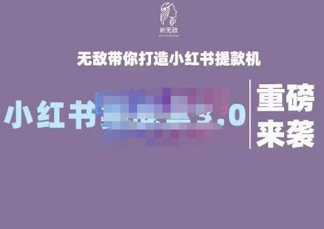 谢无敌·小红书实战营3.0，无敌带你打造小红书提款机 价值7999元-智宝网创