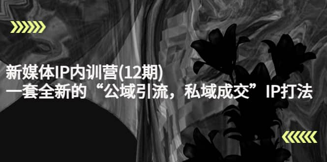新媒体IP内训营(12期)，一套全新的“公域引流，私域成交”IP打法，直接带走-智宝网创