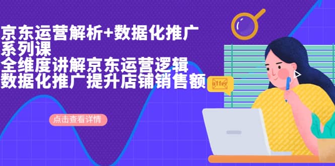 京东运营解析与数据化推广系列课，全维度讲解京东运营逻辑+数据化推广提升店铺销售额-智宝网创