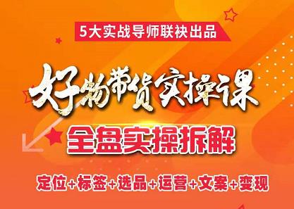抖音好物带货实操课，全盘拆解抖音好物带货号全套流程打法-智宝网创