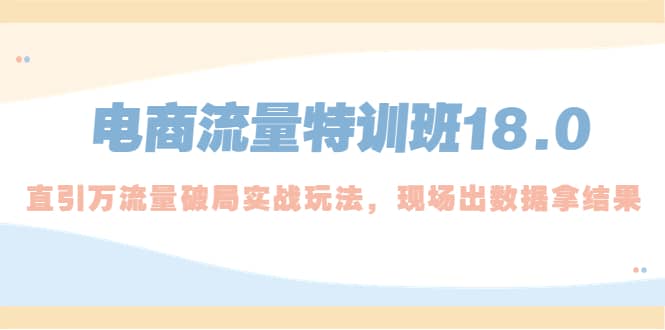 电商流量特训班18.0，直引万流量破局实操玩法，现场出数据拿结果-智宝网创