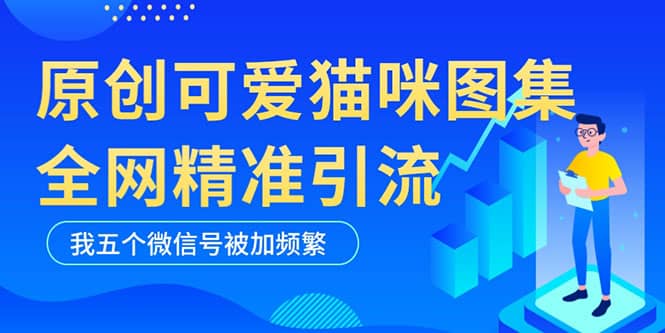 黑科技纯原创可爱猫咪图片，全网精准引流，实操5个VX号被加频繁-智宝网创
