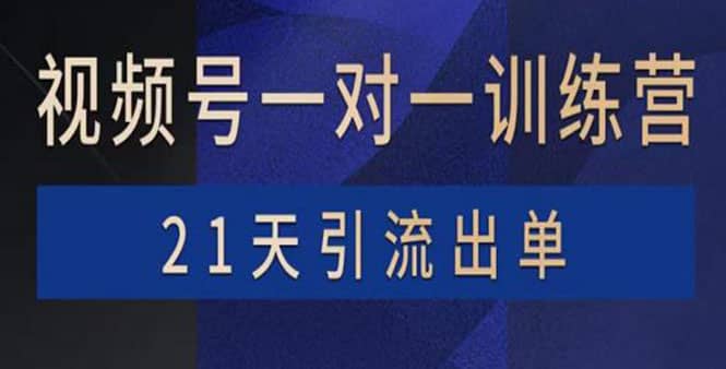视频号训练营：带货，涨粉，直播，游戏，四大变现新方向，21天引流出单-智宝网创