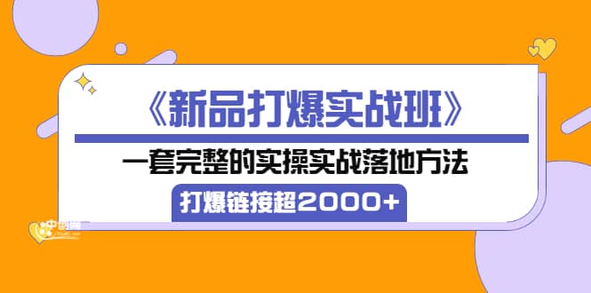 《新品打爆实战班》一套完整的实操实战落地方法，打爆链接超2000+（38节课)-智宝网创