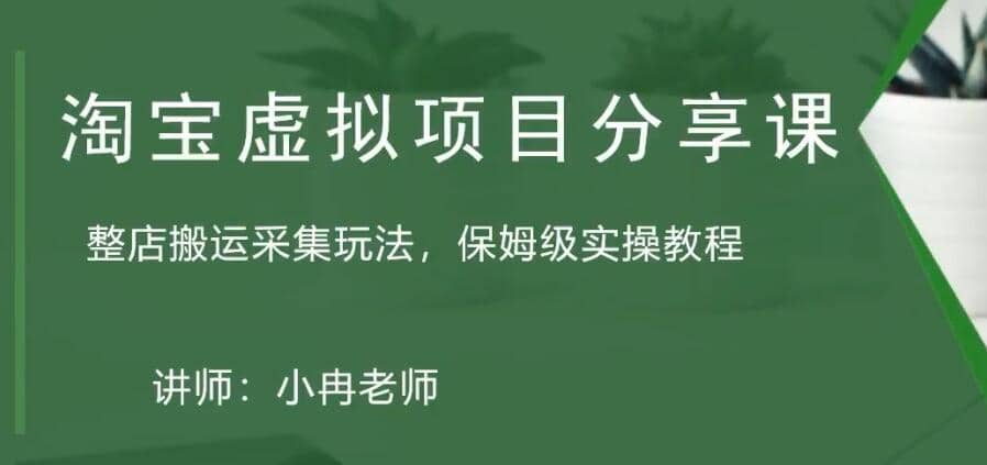 淘宝虚拟整店搬运采集玩法分享课：整店搬运采集玩法，保姆级实操教程-智宝网创