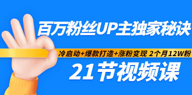 百万粉丝UP主独家秘诀：冷启动+爆款打造+涨粉变现2个月12W粉（21节视频课)-智宝网创