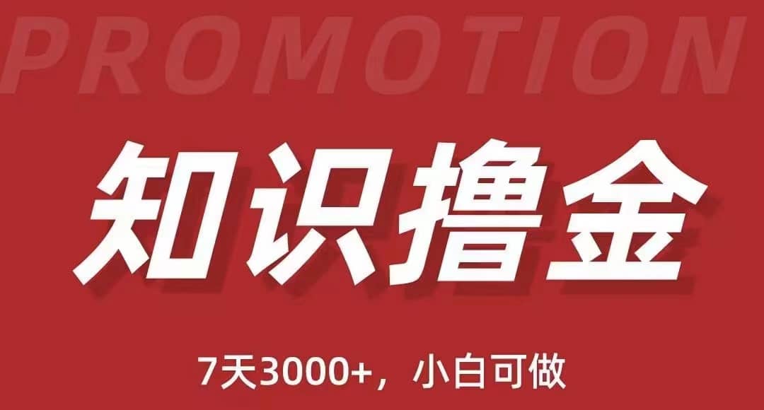 抖音知识撸金项目：执行力强当天见收益(教程+资料)-智宝网创