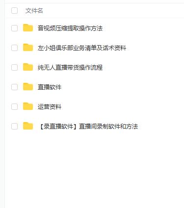 左小姐-直播带货俱乐部十三行、无人直播，全套教程附：工具、文档、话术资料-智宝网创
