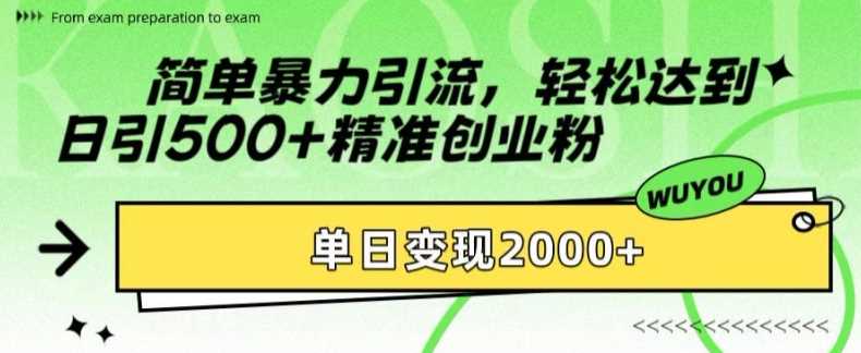 简单暴力引流轻松达到日引500+精准创业粉，单日变现2k【揭秘】-智宝网创