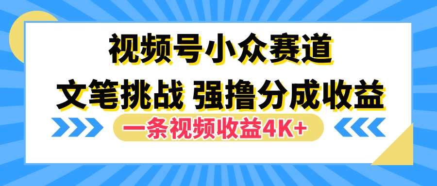 视频号小众赛道，文笔挑战，一条视频收益4K+-智宝网创