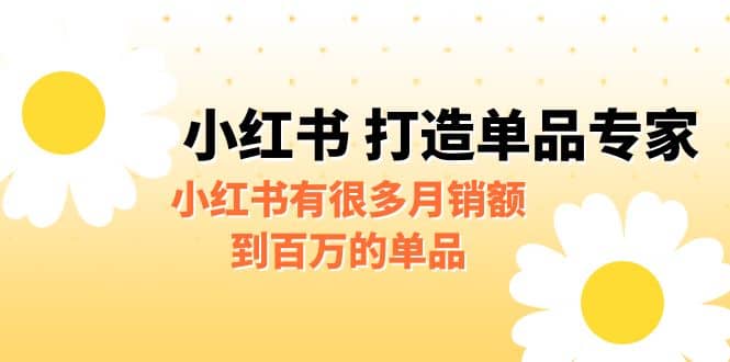 某公众号付费文章《小红书 打造单品专家》小红书有很多月销额到百万的单品-智宝网创