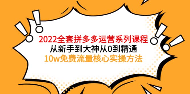 2022全套拼多多运营课程，从新手到大神从0到精通，10w免费流量核心实操方法-智宝网创