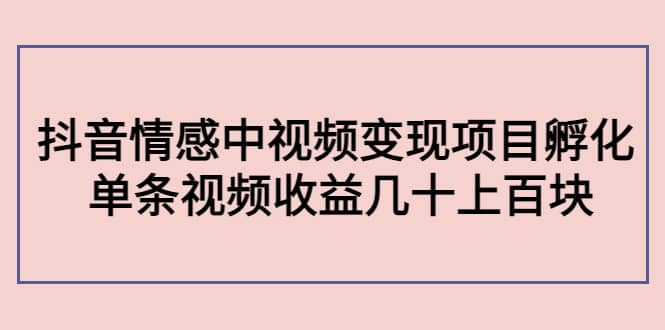 抖音情感中视频变现项目孵化-智宝网创