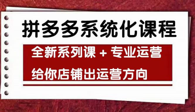 车神陪跑，拼多多系统化课程，全新系列课+专业运营给你店铺出运营方向-智宝网创