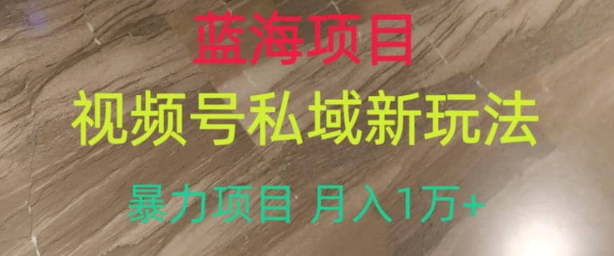 蓝海项目，视频号私域新玩法，暴力项目月入1万+【揭秘】-智宝网创