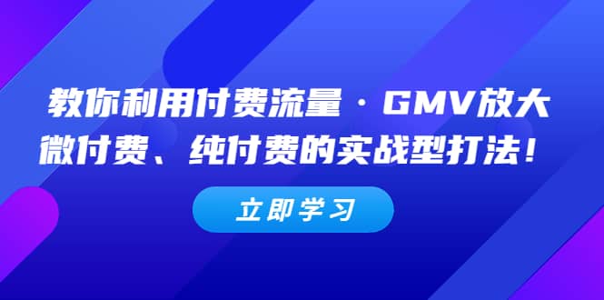 教你利用付费流量·GMV放大，微付费、纯付费的实战型打法-智宝网创