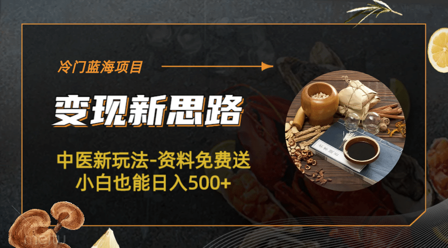 冷门蓝海项目-中医新玩法-冷门蓝海项目-中医新玩法-资料免费送小白也能日入500+500+-智宝网创