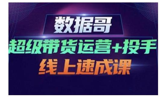 数据哥·超级带货运营+投手线上速成课，快速提升运营和熟悉学会投手技巧-智宝网创