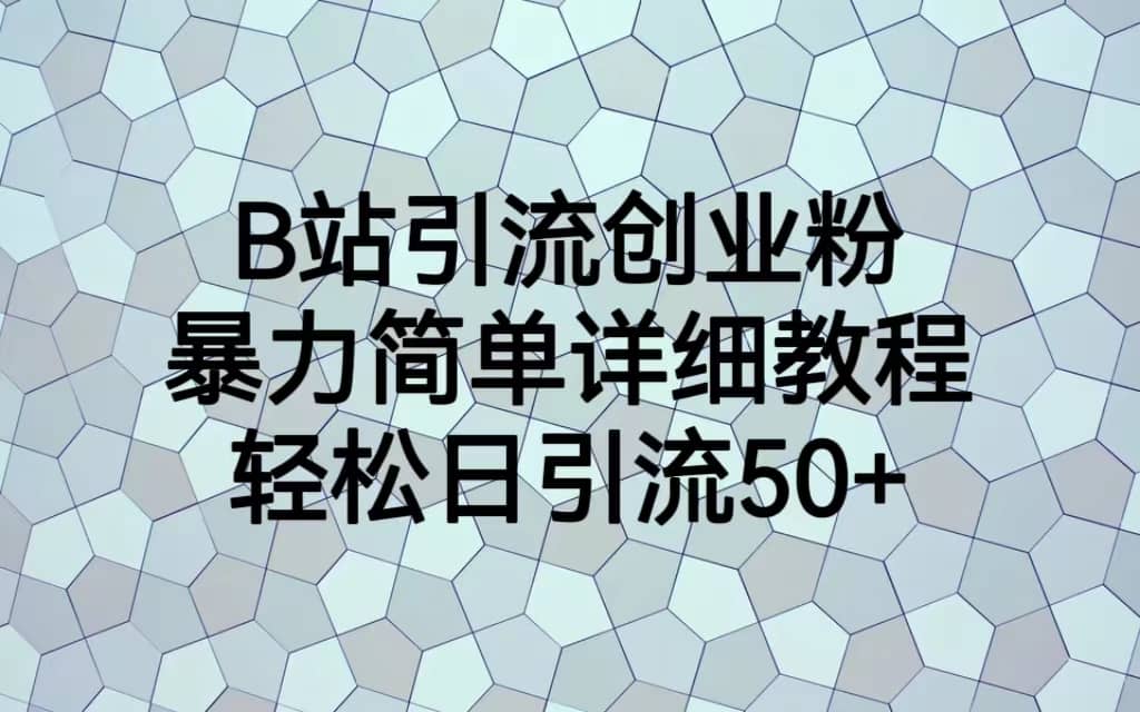 B站引流创业粉，暴力简单详细教程，轻松日引流50+-智宝网创