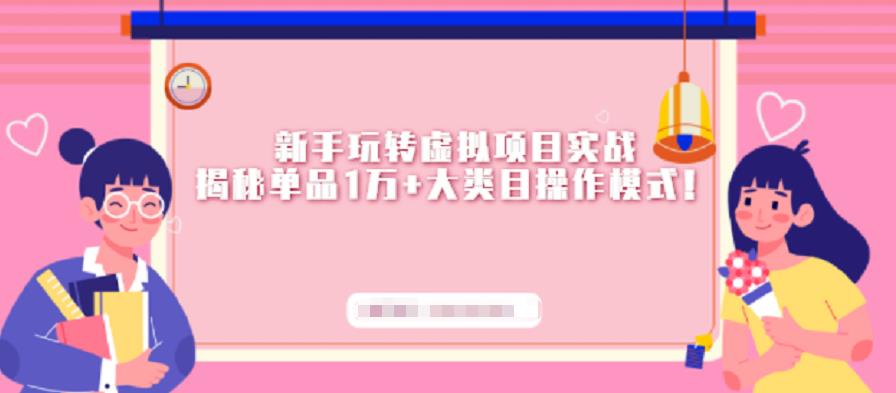 新手玩转虚拟项目实战，揭秘单品1万+大类目操作模式【视频课程】-智宝网创