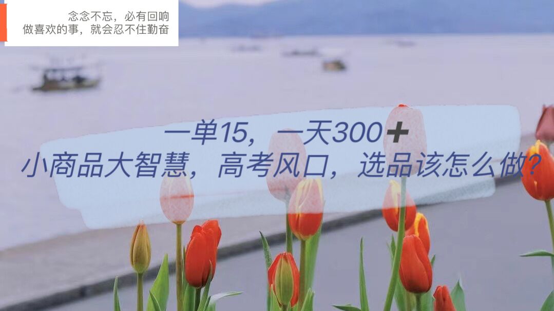 一单15，一天300+，小商品大智慧，高考风口，选品该怎么布局-智宝网创