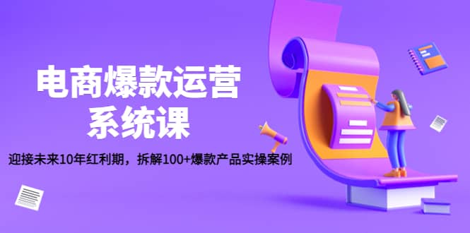 电商爆款运营系统课：迎接未来10年红利期，拆解100+爆款产品实操案例-智宝网创