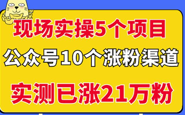 现场实操5个公众号项目，10个涨粉渠道，实测已涨21万粉！-智宝网创