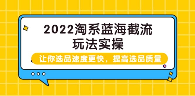 2022淘系蓝海截流玩法实操：让你选品速度更快，提高选品质量（价值599）-智宝网创