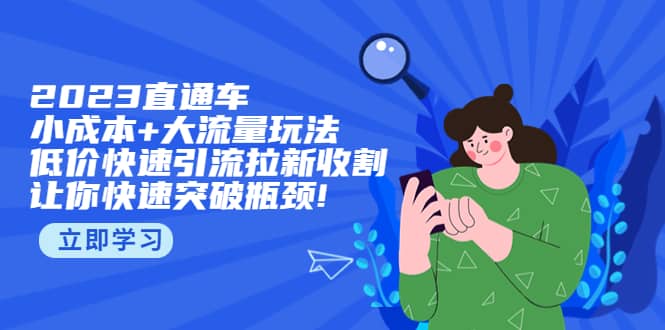 2023直通小成本+大流量玩法，低价快速引流拉新收割，让你快速突破瓶颈-智宝网创